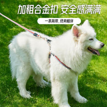 宠物胸背带背心式项圈狗狗马甲背带狗脖圈小型犬中型犬大型犬通用