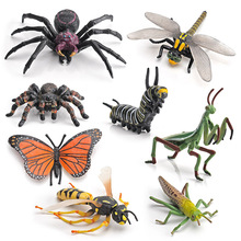 跨境仿真热带雨林昆虫动物模型摆件玩具实心毒蜘蛛大黄蜂螳螂蚂蚱