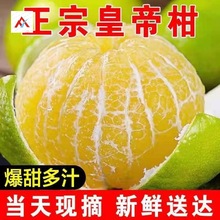广西皇帝柑大果9斤一级桔子5新鲜水果沃柑整箱蜜桔橘贡柑砂糖