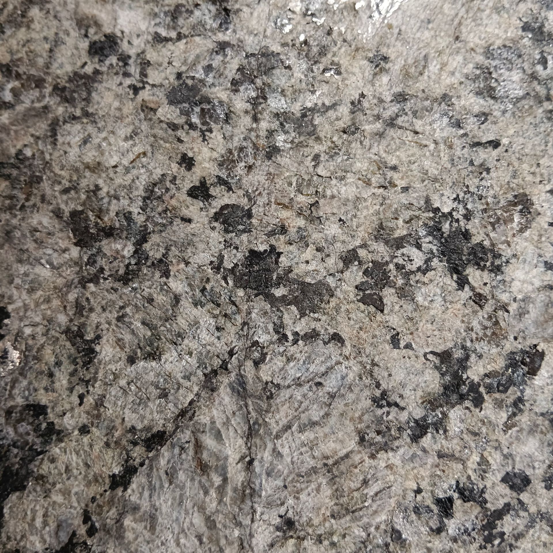 冰花绿石材 花岗岩 蝴蝶绿 外墙干挂 园林广场地面铺装