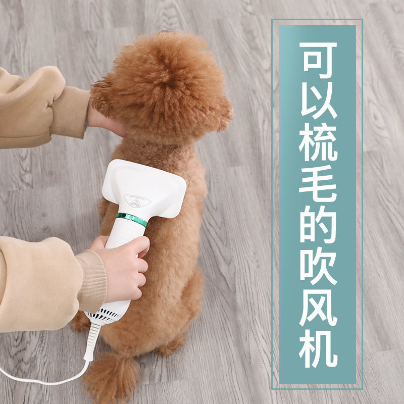 Dog Hair Dryer Pet Blowing Napping Blowing Combs Roller Raising Machine One Teddy Blowing Hair Comb Special One Wholesale