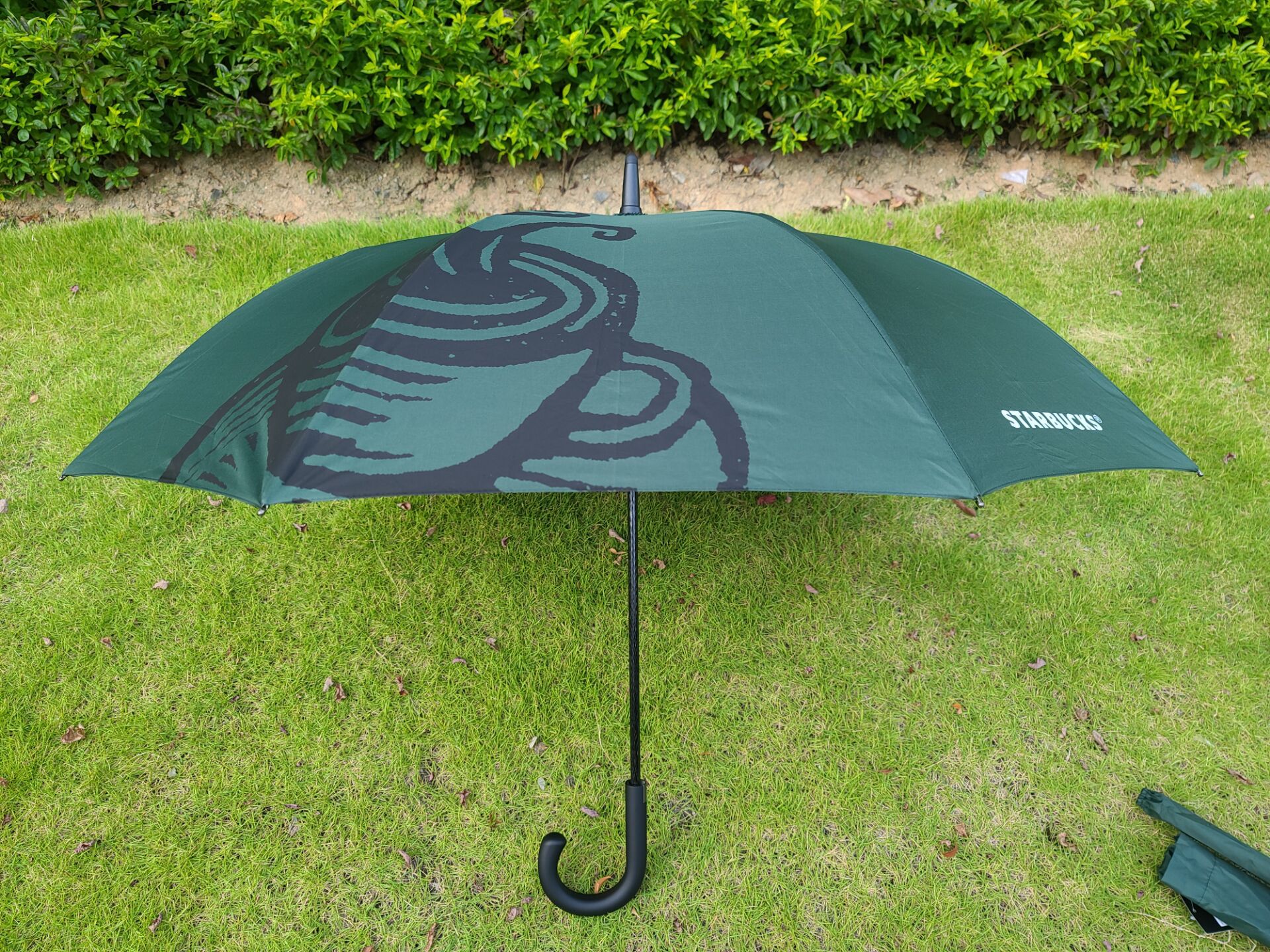 辛巴克雨伞经典墨绿色长柄伞直骨自动高尔夫雨伞出口韩国星爸爸伞