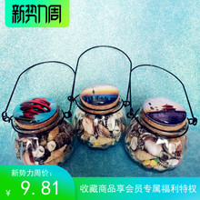 青岛海底海的礼物天然南瓜瓶贝壳袋装海螺海星珊瑚摆件工艺品