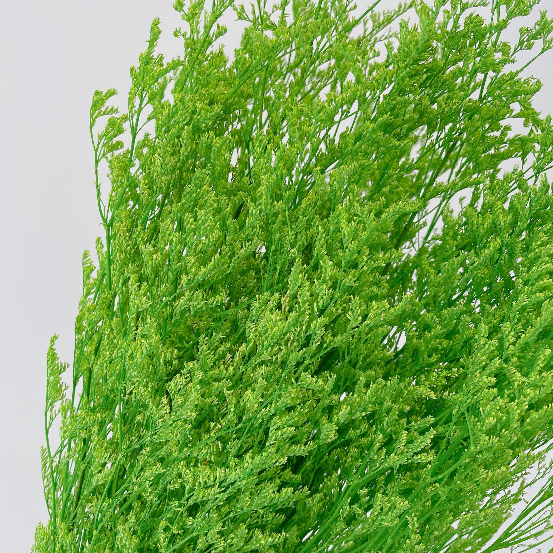 永生花白色情人草 云南情人草干花永生花花束批发 客厅家居装饰