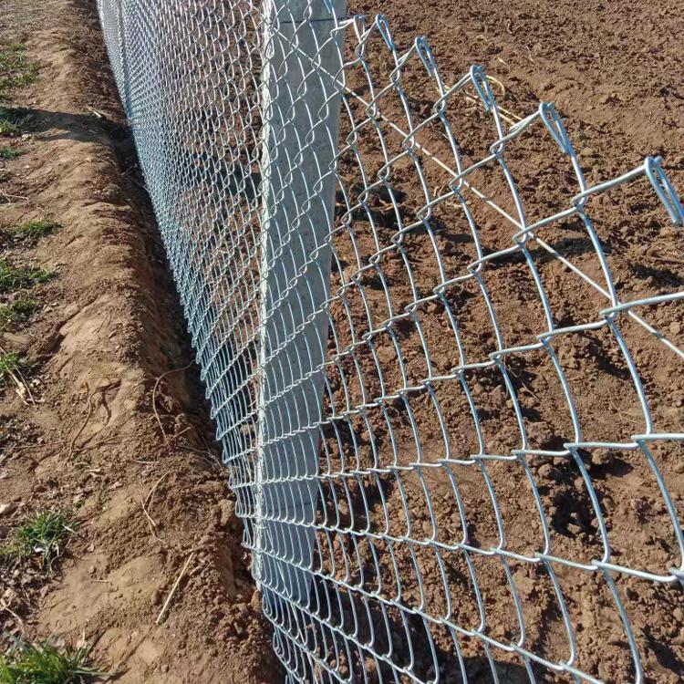 牛栏网镀锌铁丝网护栏网养鸡养狗养殖牛羊钢丝网果园防护网钢丝网