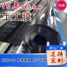 厂家批发hdpe土工膜鱼塘养殖防渗膜垃圾场蓄水池底部pe防渗土工膜