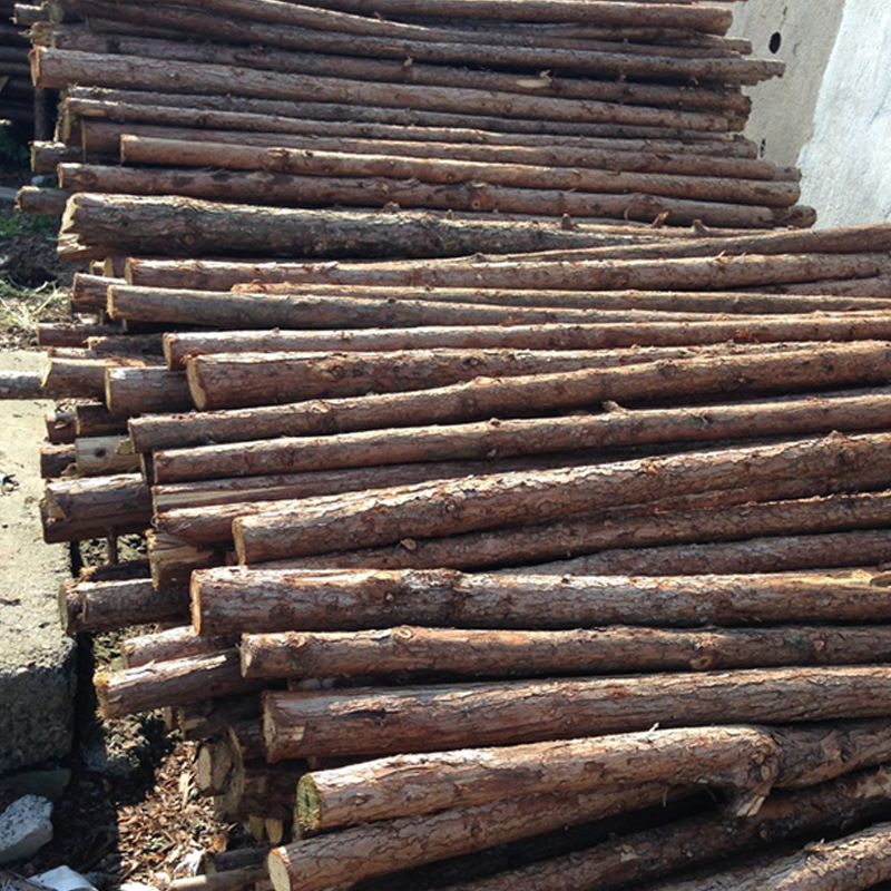 安徽杉木小原木支撑棍 1.5-4米 支持混批