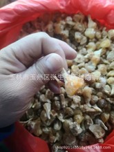 中药材薤白 夕白 薤根 薤白头 乔白 野白头小独蒜 野蒜散装500克