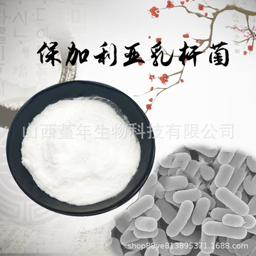 保加利亚乳杆菌100亿cfu/g 食品级 冻干型乳酸菌粉 源头工厂 现货