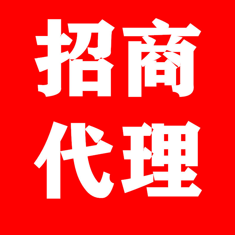 招商代理库存服装女装男装童装小本创业地摊加盟店项目 合伙人