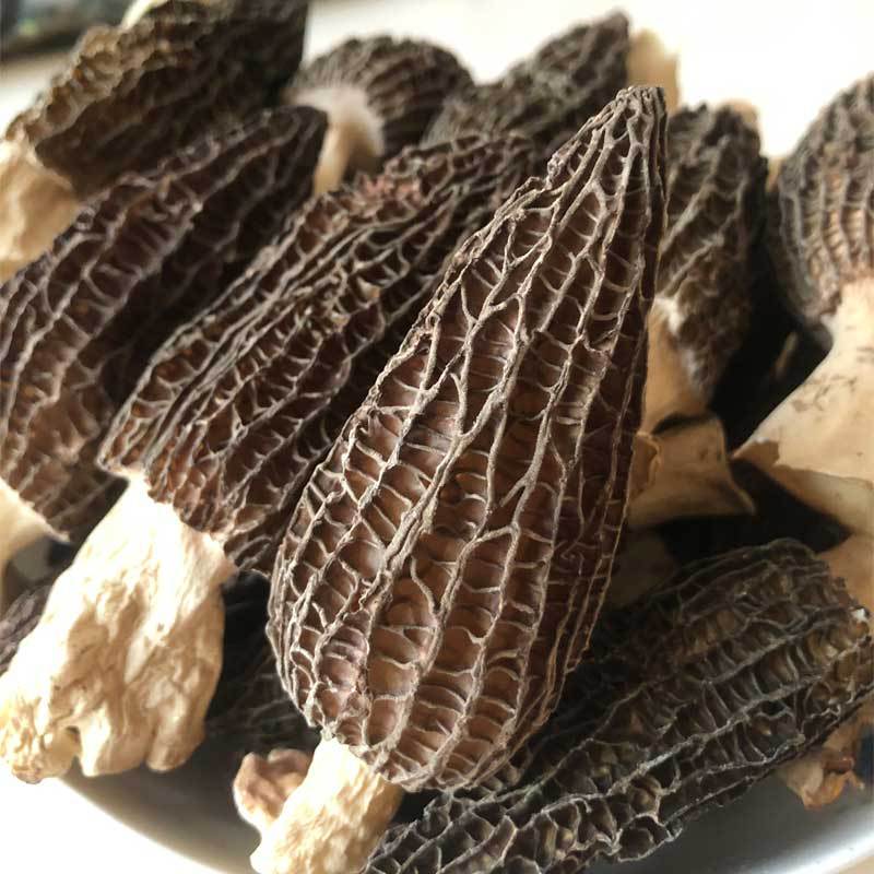 羊肚菌云南产头茬精选干货羊肚菇食用菌菇肉厚肥美硫磺农产品