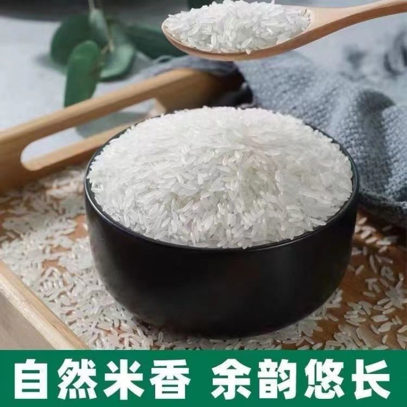 长粒香大米批发50斤装香米新米丝苗米25kg晚籼米厂家直销 速卖通
