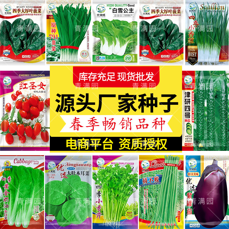 精选阳春热销蔬菜种子豆角黄瓜辣椒生菜南瓜西瓜红菜种籽葫芦瓜