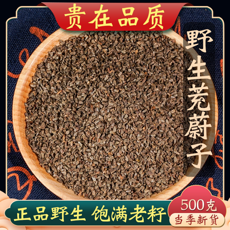 茺蔚子中药材500g益母草种子新货野生茺蔚籽茺蘶子粉茺卫子茺玉子