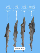 鲨鱼冻干狗狗零食磨牙补钙小型犬软骨素肉干美毛增肥宠物猫咪鱼干