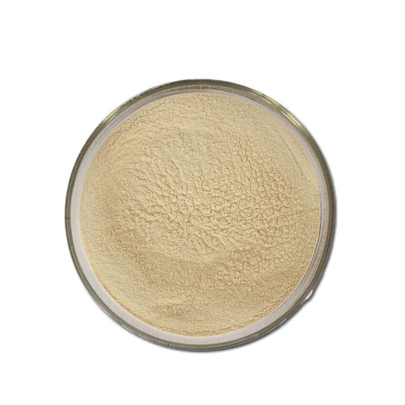 水产em菌菌粉 低温肥水调水 乳酸菌/酵母菌 100亿/g 可干撒可兑水