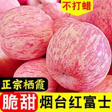 山东烟台红富士苹果当季现摘水果新鲜脆甜不打蜡带皮吃整箱厂批发