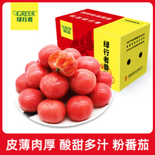 【绿行者】桃太郎粉番茄新鲜自然熟西红柿生吃蔬菜水果西红柿5斤
