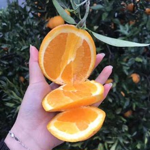 秭归脐橙夏橙子超甜新鲜水果当季伦晚橙血橙春橙冰糖橙巫山恋橙奉