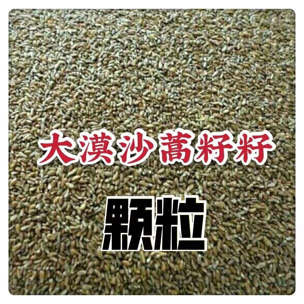 包邮野生沙蒿籽蒿籽面黄蒿子拉面增筋剂野生沙蒿子增加杂粮劲道