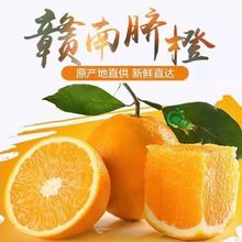 赣南脐橙新鲜橙子现摘正宗当季水果品质保证