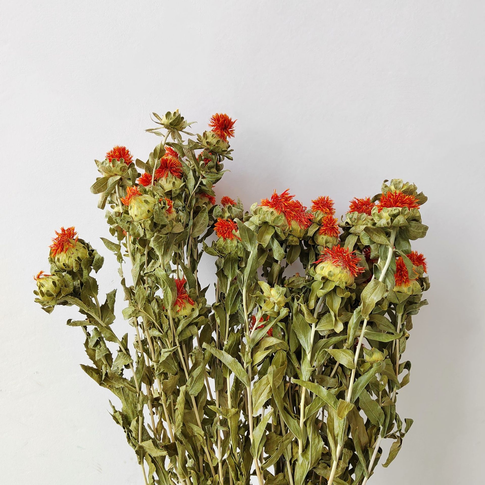 橙菠萝 菠萝菊干花花束 diy插花搭配配饰 家居装饰道具拍照道具