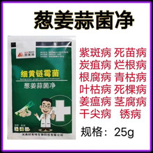 葱姜蒜菌净韭菜蒜苗专用药小葱大蒜根腐姜瘟病叶斑病杀菌剂干尖灵