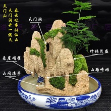 高端养好发货假山盆景吸水造景奇石头天然植物上水山水石原小室内