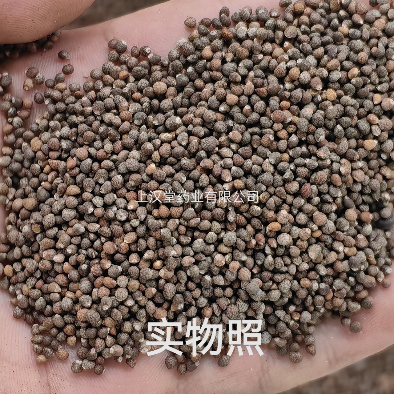 紫苏子中药材批发产地货源直销优选紫苏子500g包邮实物照发货