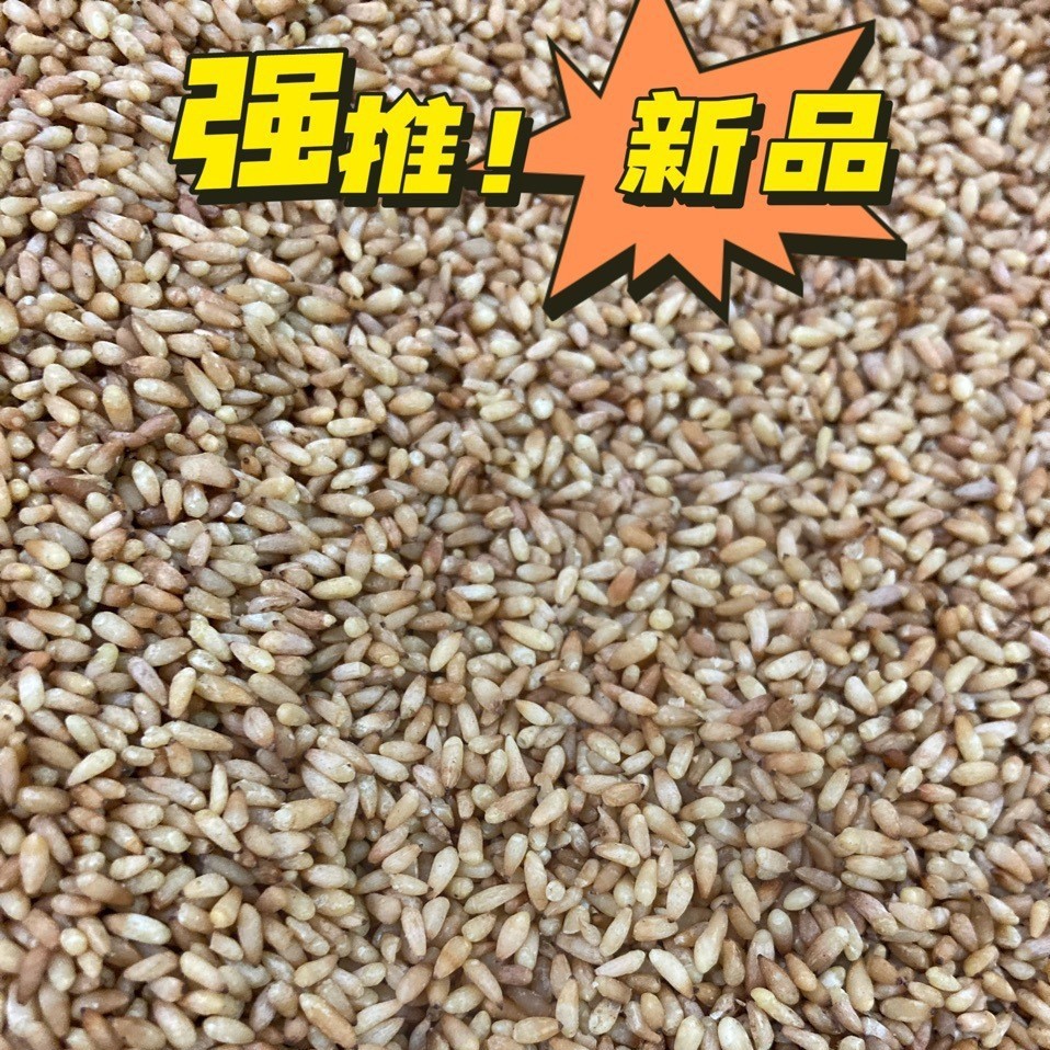 柏子仁中药材去壳柏子仁柏树籽侧柏叶子柏子仁泡水500克包邮-阿里巴巴