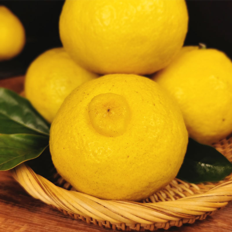 【小金柚】-小金柚厂家,品牌,图片,热帖-阿里巴巴