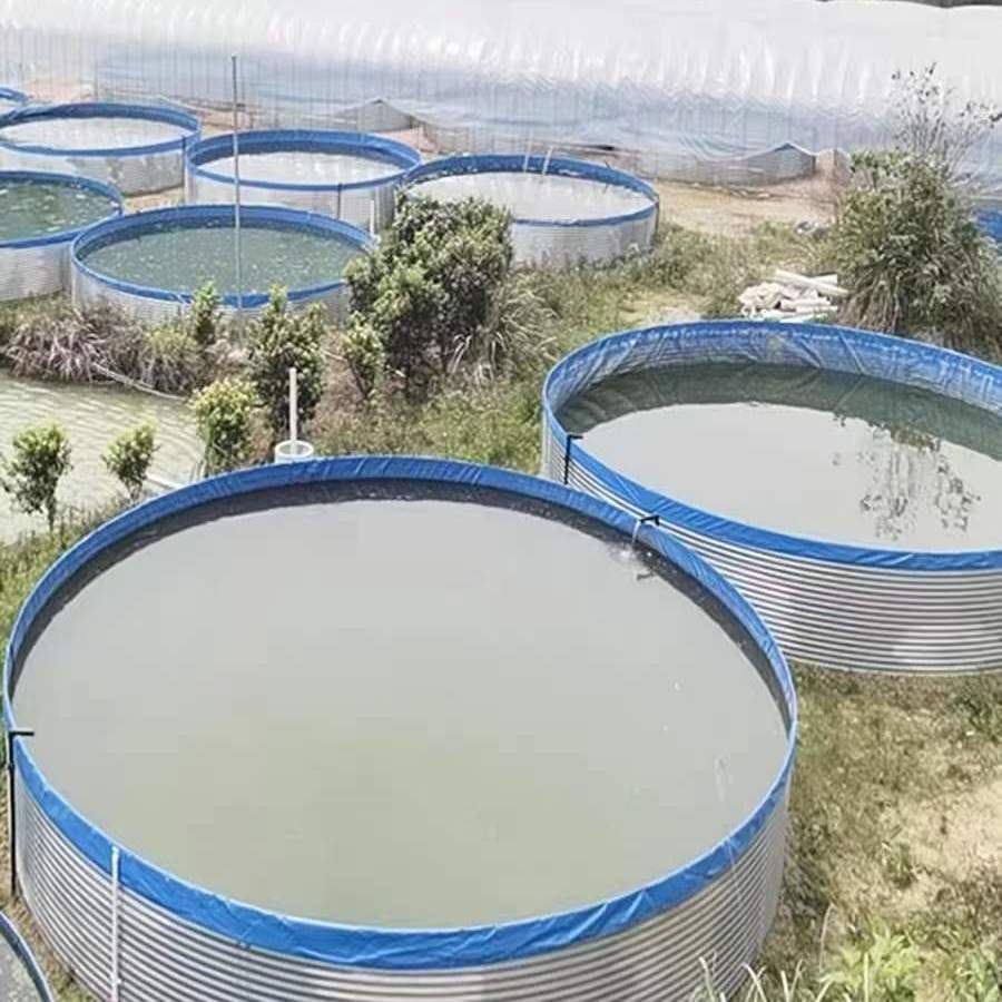 加厚大型圆形折叠帆布鱼池刀刮布高密度养殖池蓄水池锦鲤水箱支架