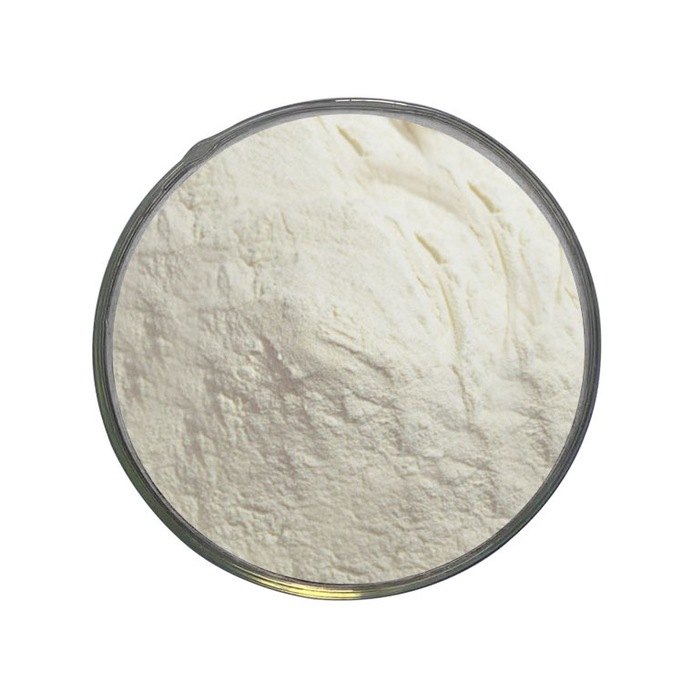 小麦低聚肽 小麦肽粉 小麦蛋白肽 小分子小麦胶原蛋白肽 现货供应