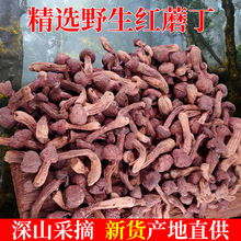 红蘑丁东北特产辽朝阳宁精品蘑菇自然晾晒干货肉蘑野生松树伞250g