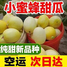 小蜜蜂甜瓜老品种小香瓜应季水果整箱批发非绿宝羊角蜜独立站跨境