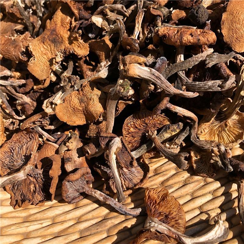 东北野生榛蘑干货小鸡炖蘑菇干蘑菇长白山特产榛蘑丁自采山珍