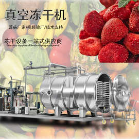 食品冻干机 商用果蔬大蒜低温真空冷冻干燥设备 葱花真空冻干机