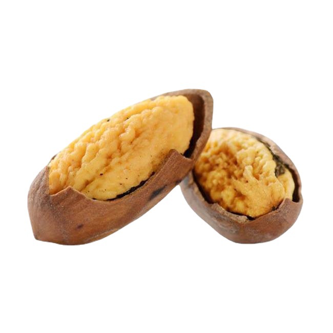 香榧苗 芝麻榧树 象牙榧珍珠榧 木榧草榧子雄树坚果 嫁接香榧树苗