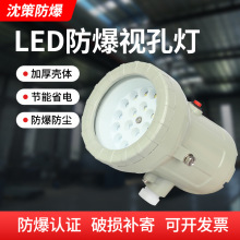 防爆视孔灯BSD96化学容器LED视孔灯12V24V36V220V反应釜视镜灯