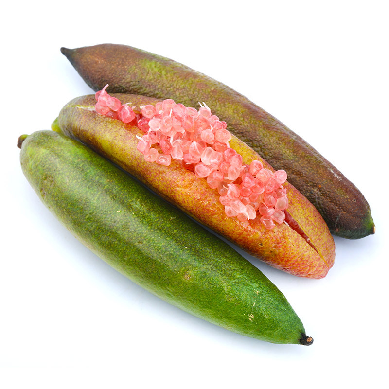 【厂货通】手指柠檬 鲜果稀有品种水果指橙鱼子酱橘类青柠檬代发