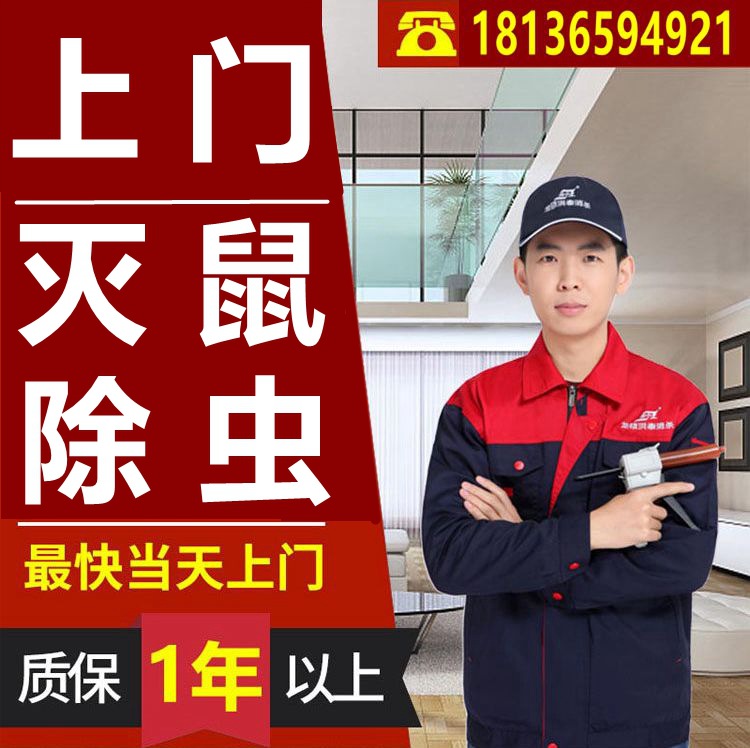 上门灭老鼠除蟑螂除虫灭鼠虫除跳蚤服务专业灭虫灭老鼠灭鼠公司