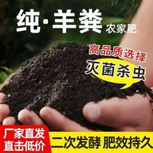 农场直销发酵纯羊粪鸡粪型花卉营养土养花种菜多肉专用尿素肥