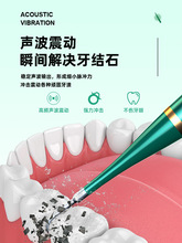 电动牙刷冲牙器二合一洁牙器去除牙石牙垢电动牙刷去牙结石多功能