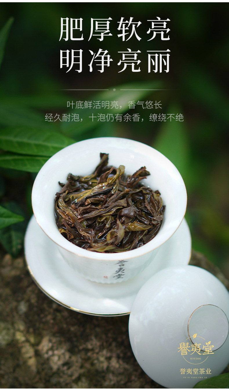武夷山正岩花香奇兰岩茶清香大红袍乌龙茶名枞500g袋装简装批发