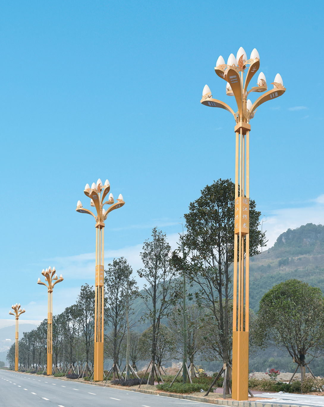 市政工程道路9米10米12米户外广场玉兰灯园林照明景观灯厂家直销