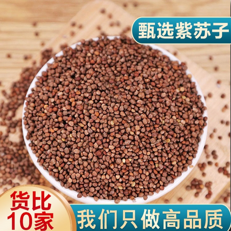 紫苏籽中药材500g生紫苏子籽食用苏子籽苏籽野苏子粒种子紫苏
