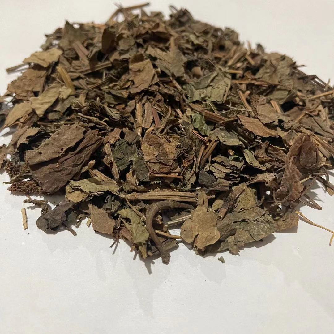 鱼腥草 批发各种中药材鱼腥草 一手货源鱼腥草