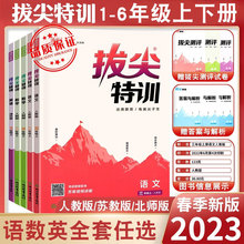 24春季通城学典拔尖特训小学一年级作业本二年级下册江苏专用版