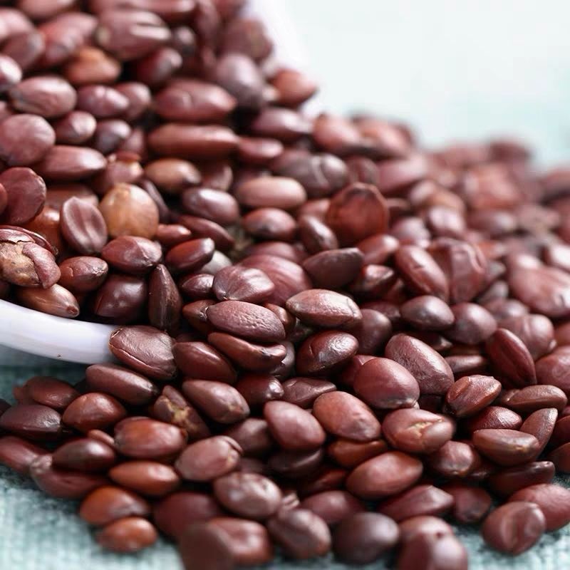 中药材生枣仁 500克包邮 新货野/生酸枣仁酸枣仁粉500克