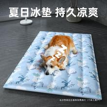 宠物冰垫凉席垫子狗狗夏天凉垫猫咪冰床睡垫地垫降温用品夏季冰窝
